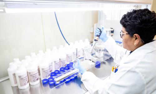 Producción agropecuaria y acuícola, y su transformación