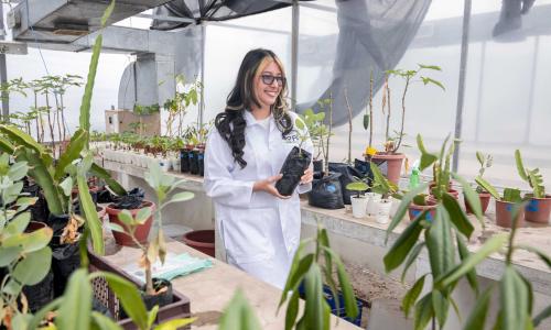 Industria sostenible e innovadora