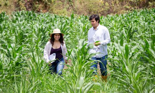 Ambiente, clima y reducción de riesgos de desastres