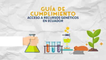 guia de cumplimiento
