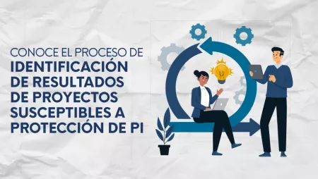 Proceso Identificación PI